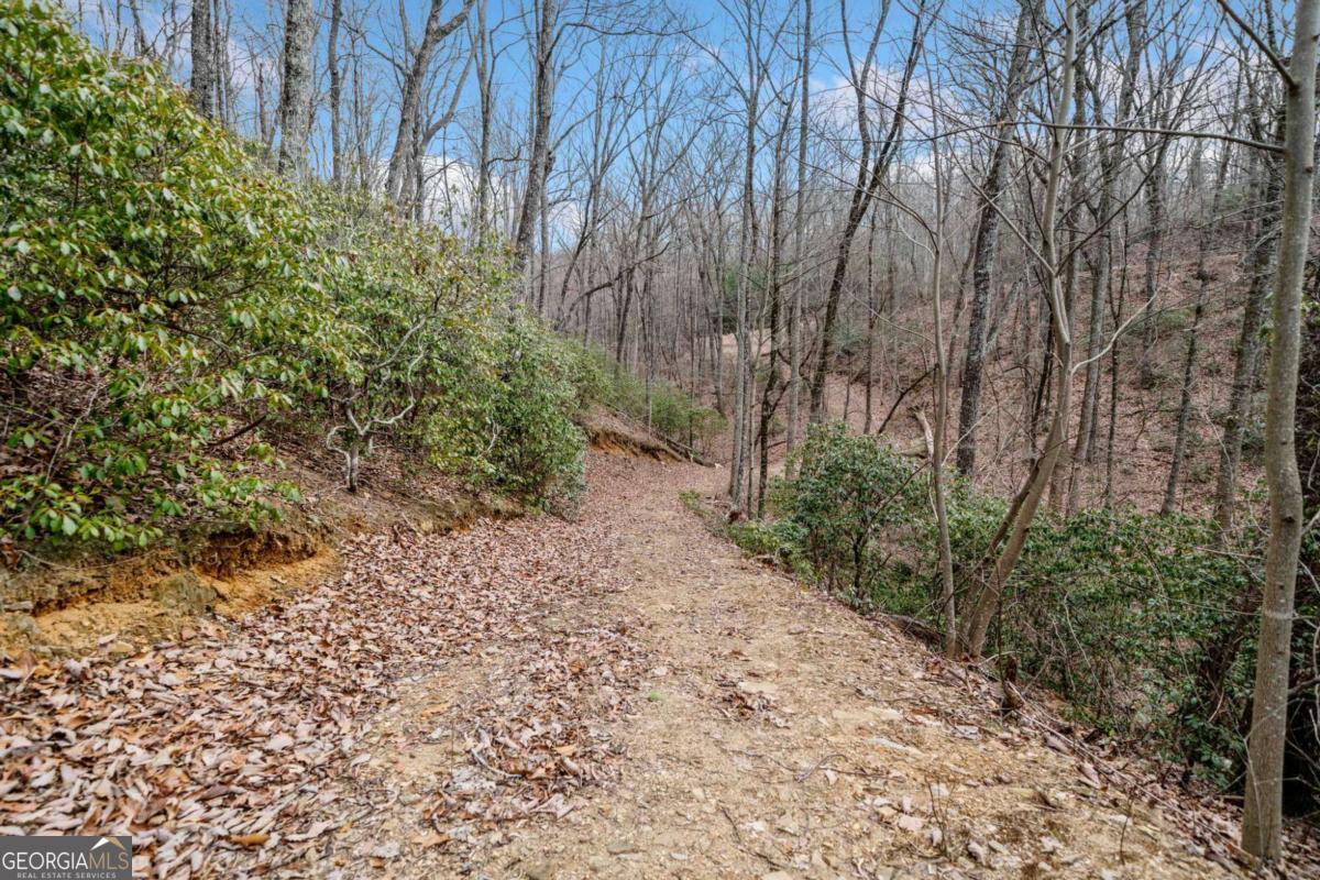 0 Big Oak Drive Property Photo 8