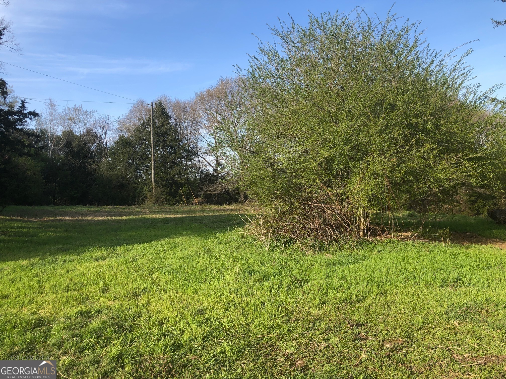 840 Haggard Road Property Photo 4