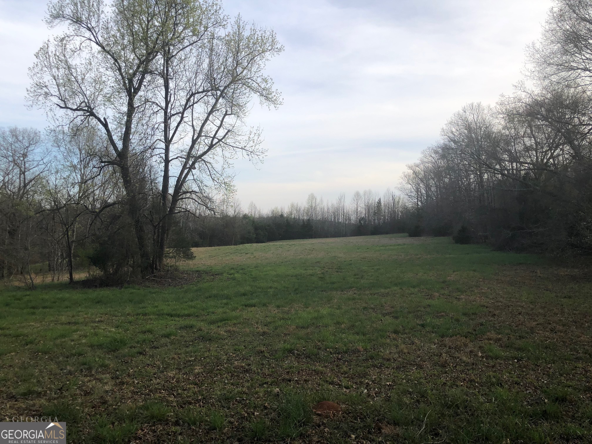 840 Haggard Road Property Photo 7