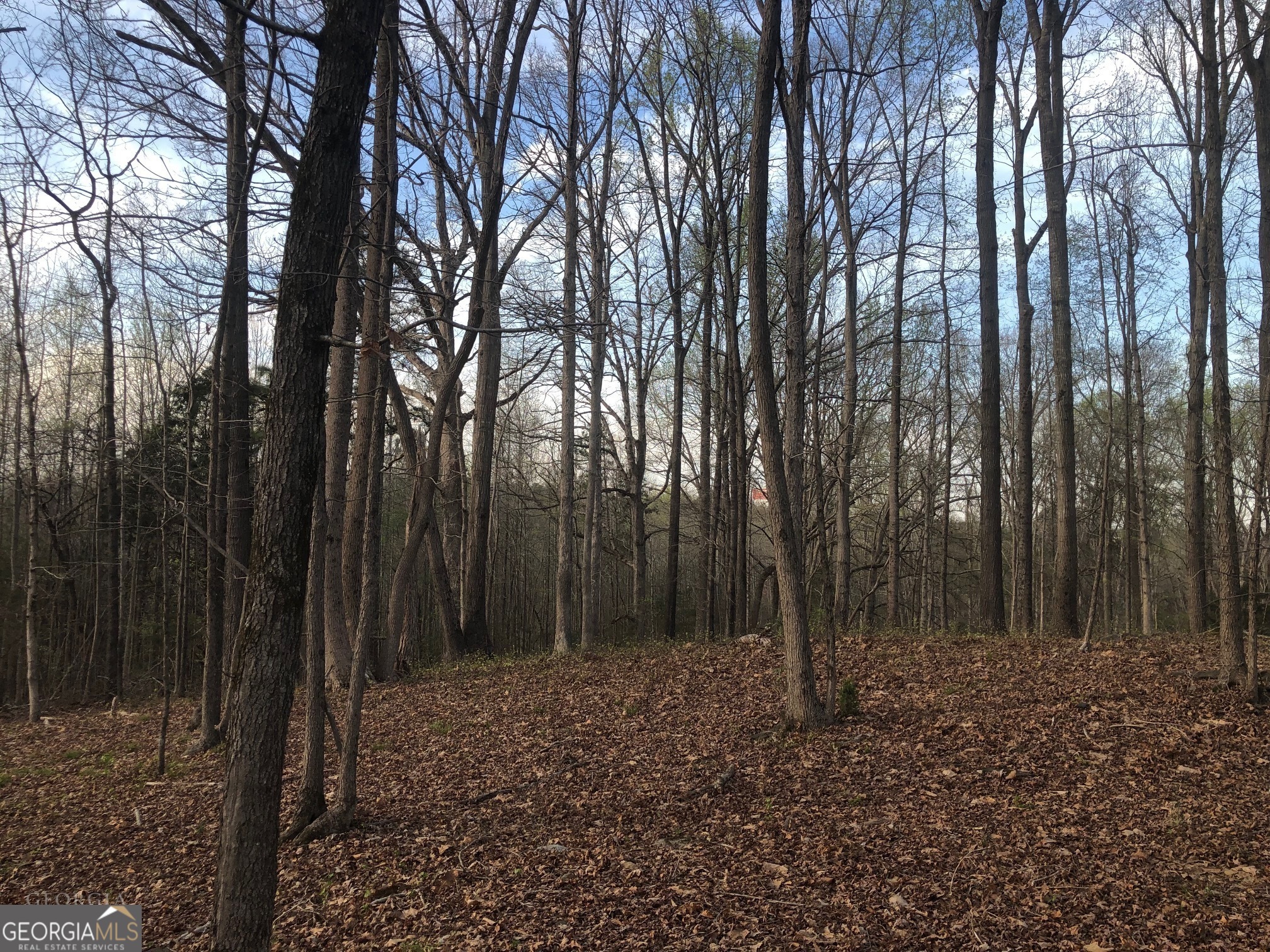 840 Haggard Road Property Photo 12