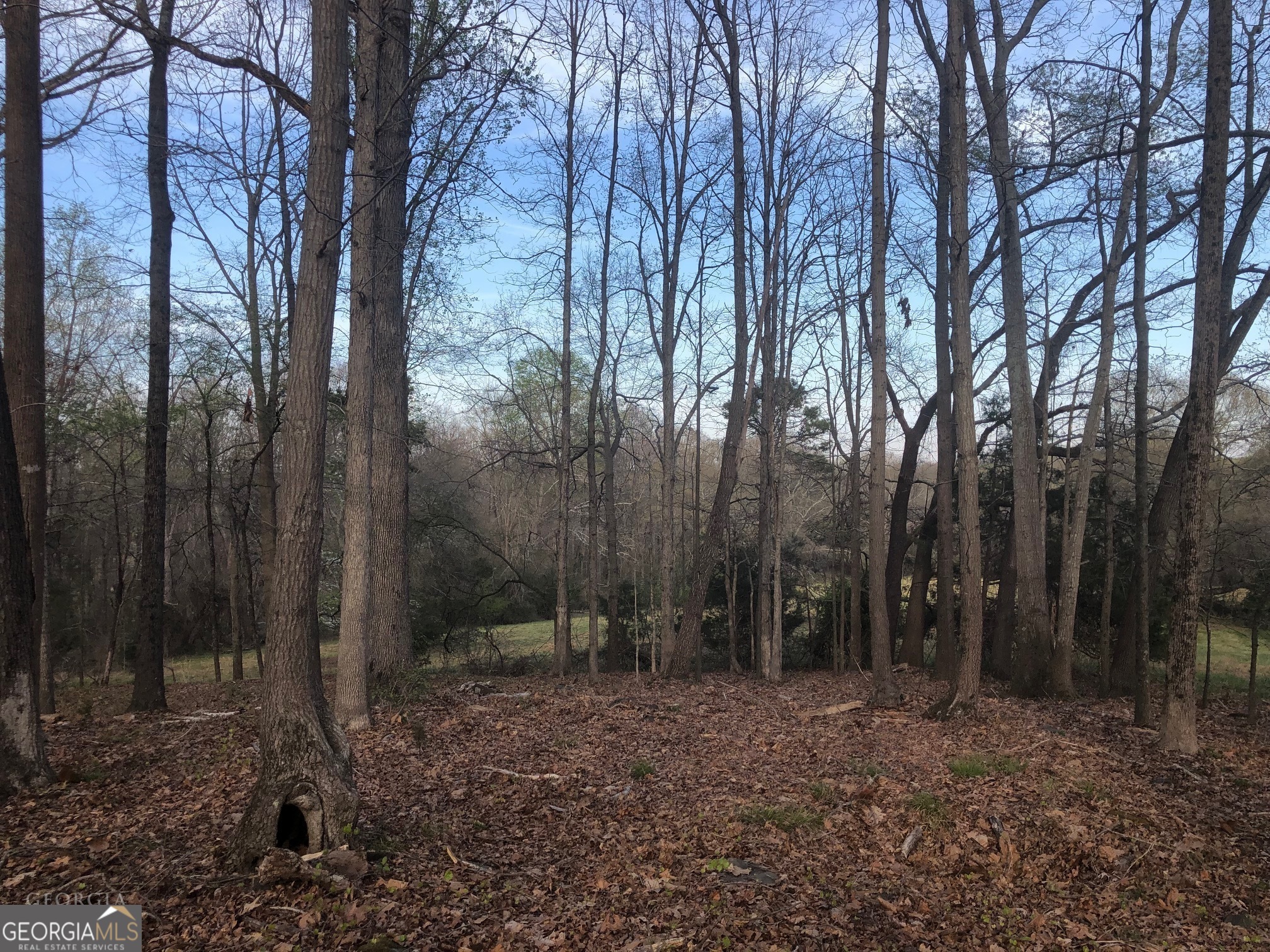 840 Haggard Road Property Photo 13