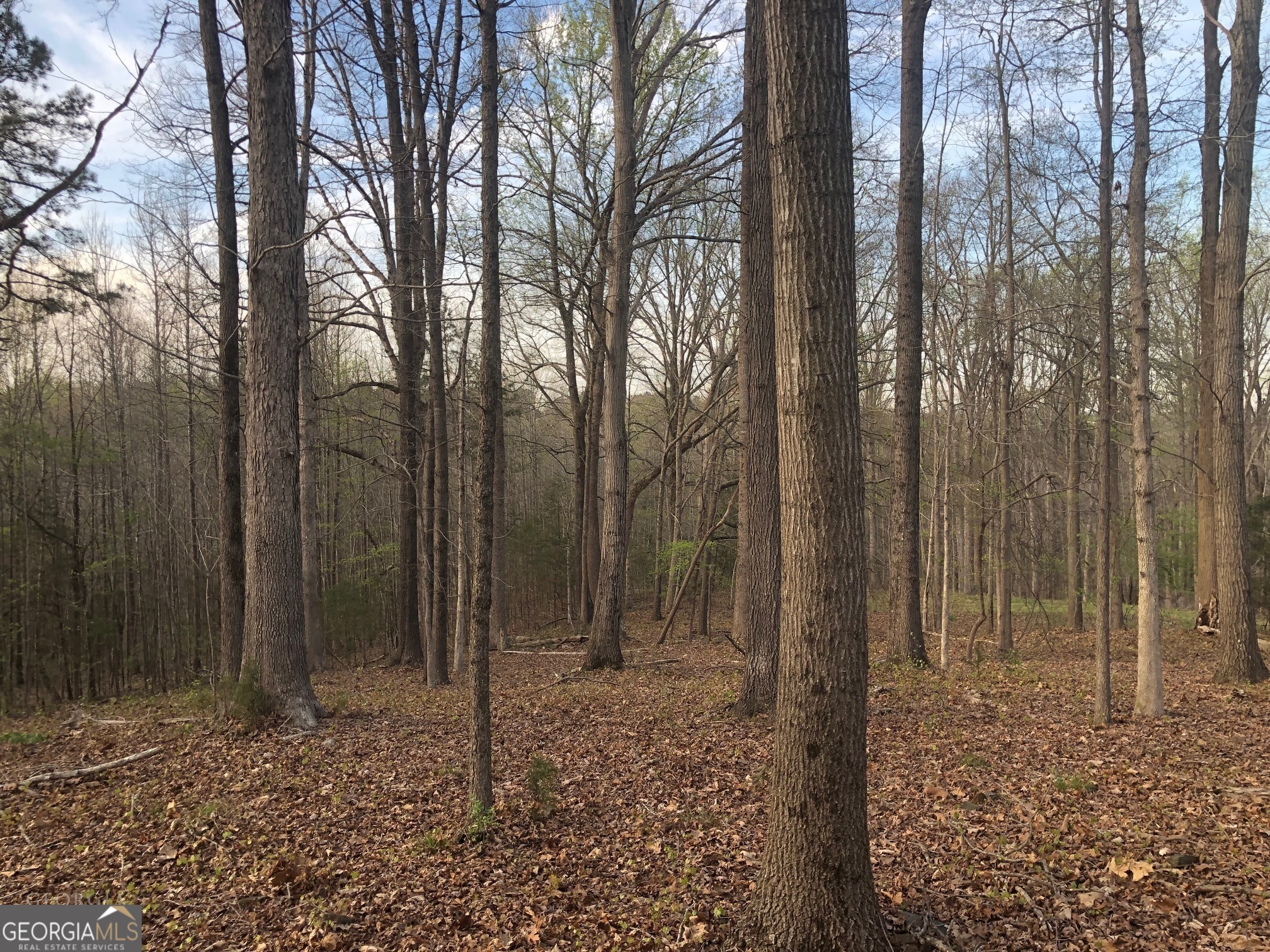 840 Haggard Road Property Photo 14
