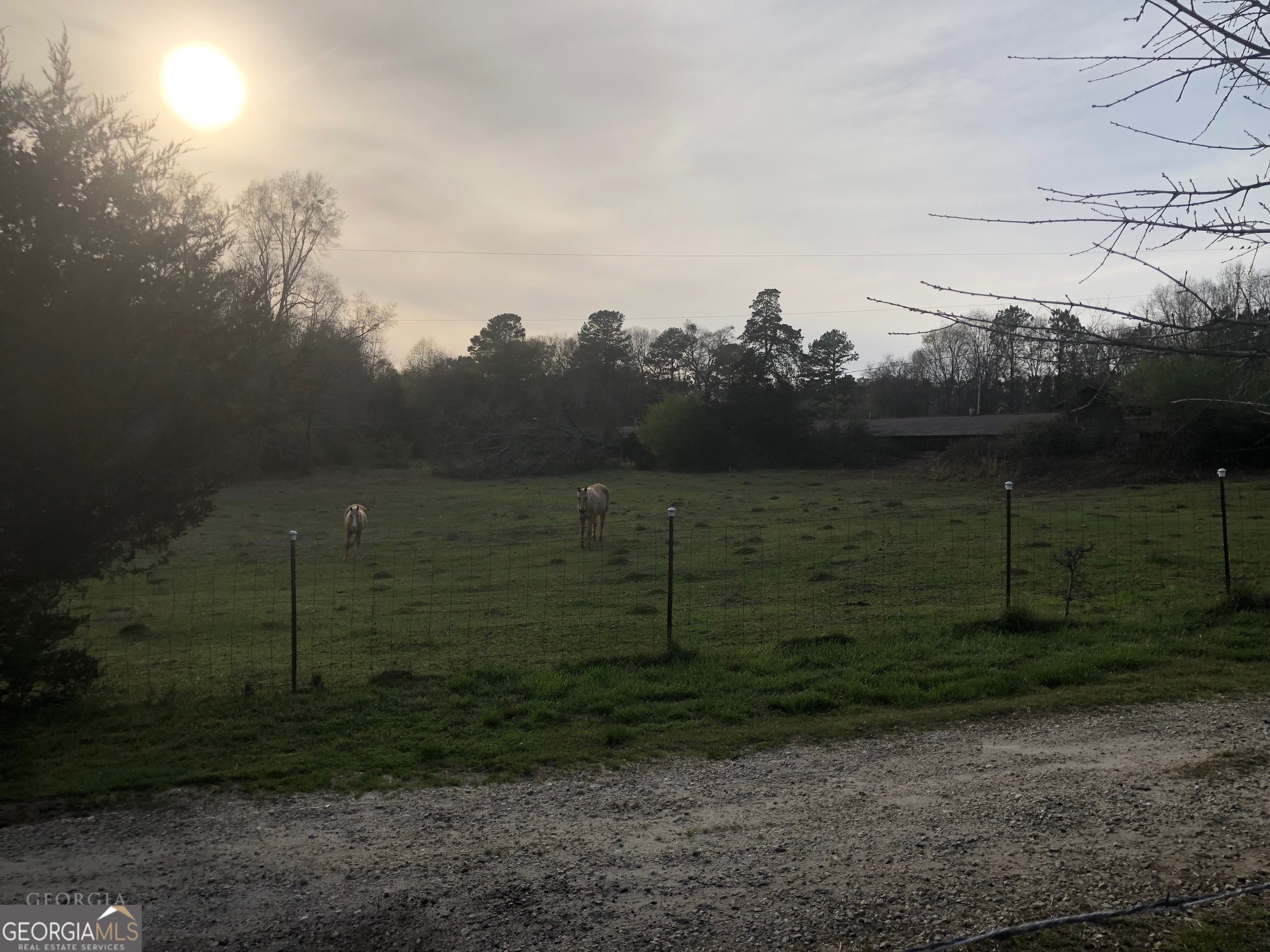 840 Haggard Road Property Photo 16