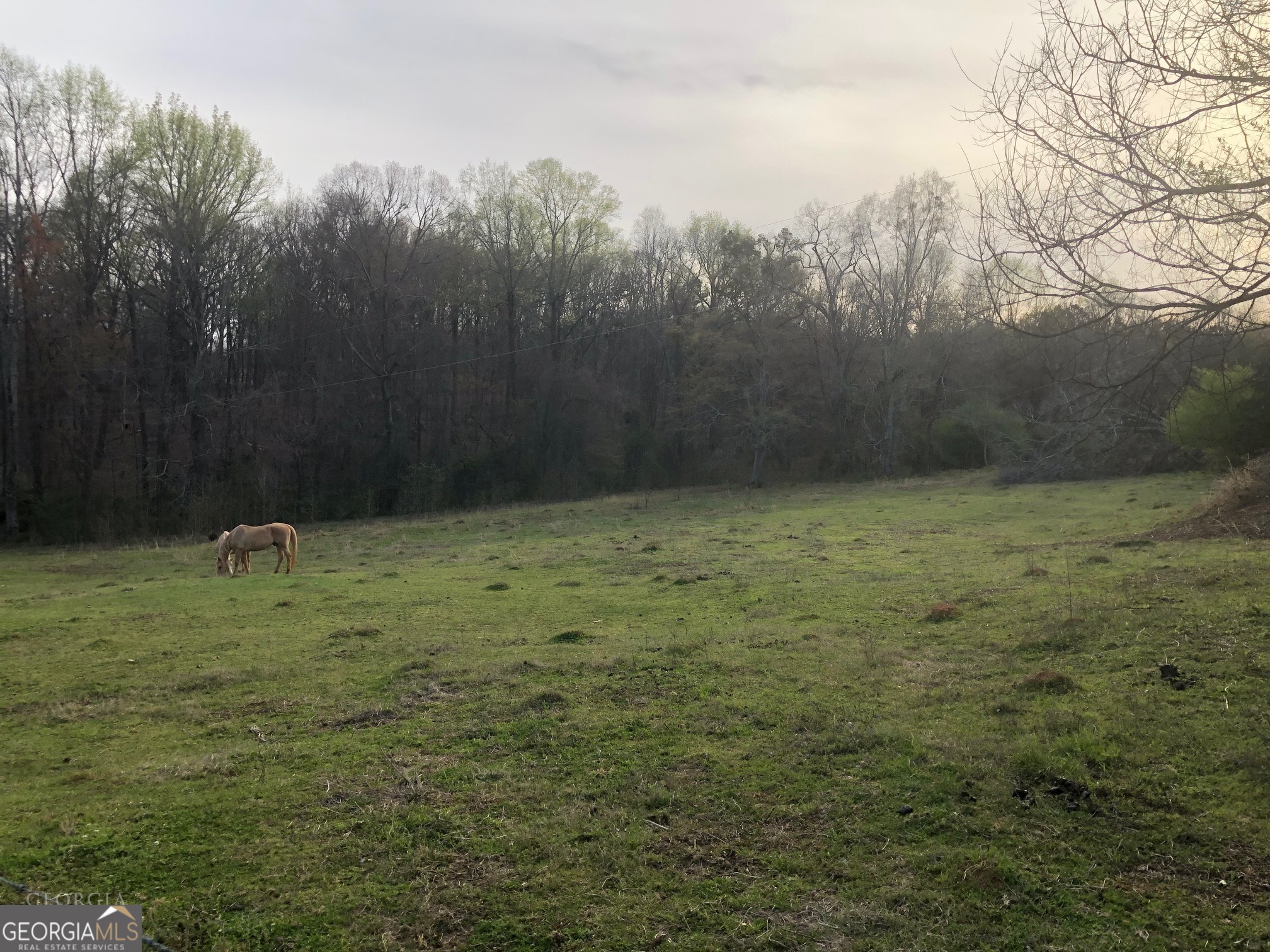 840 Haggard Road Property Photo 17