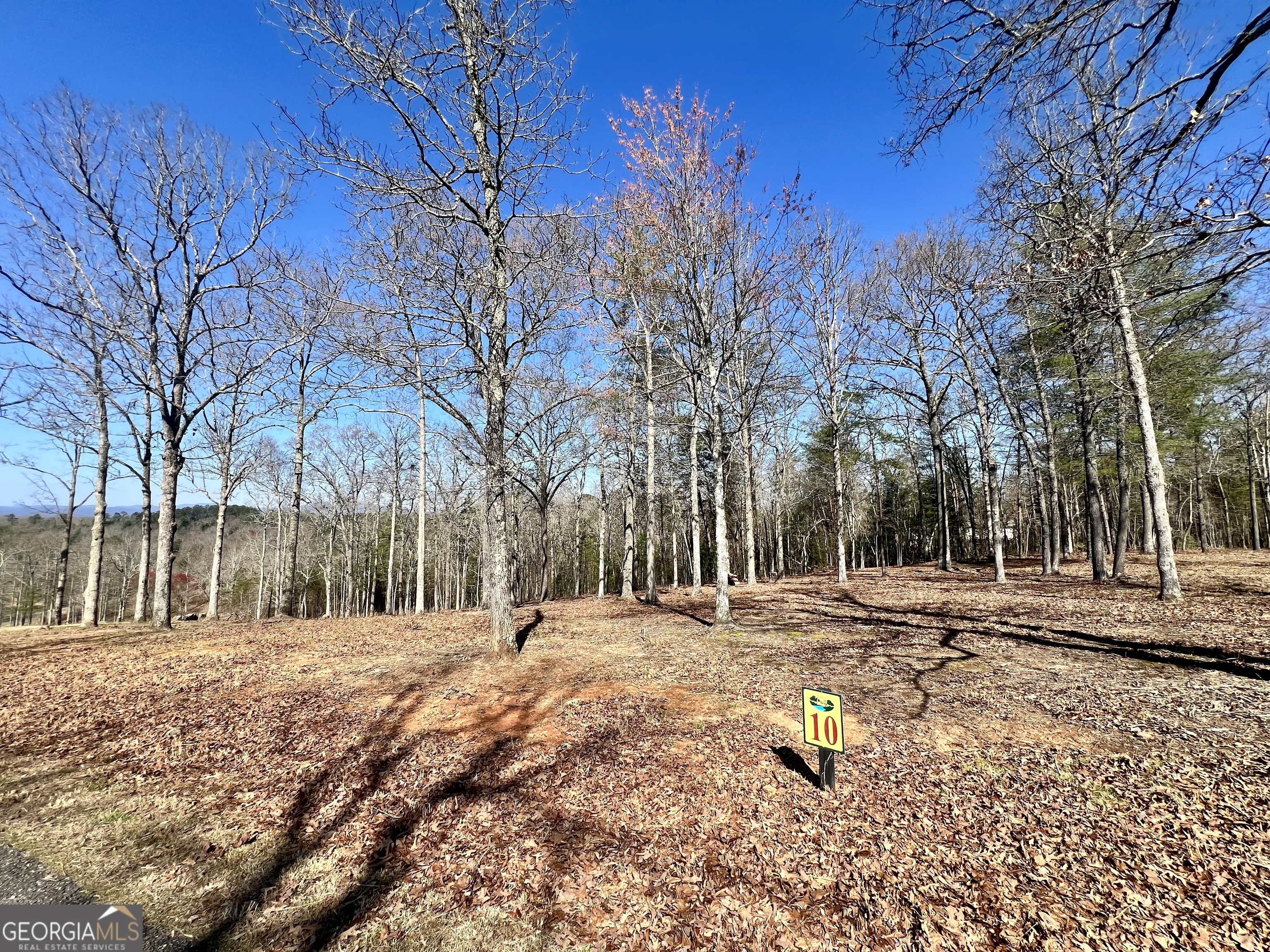 10 Arbor Creek Trail Property Photo 1