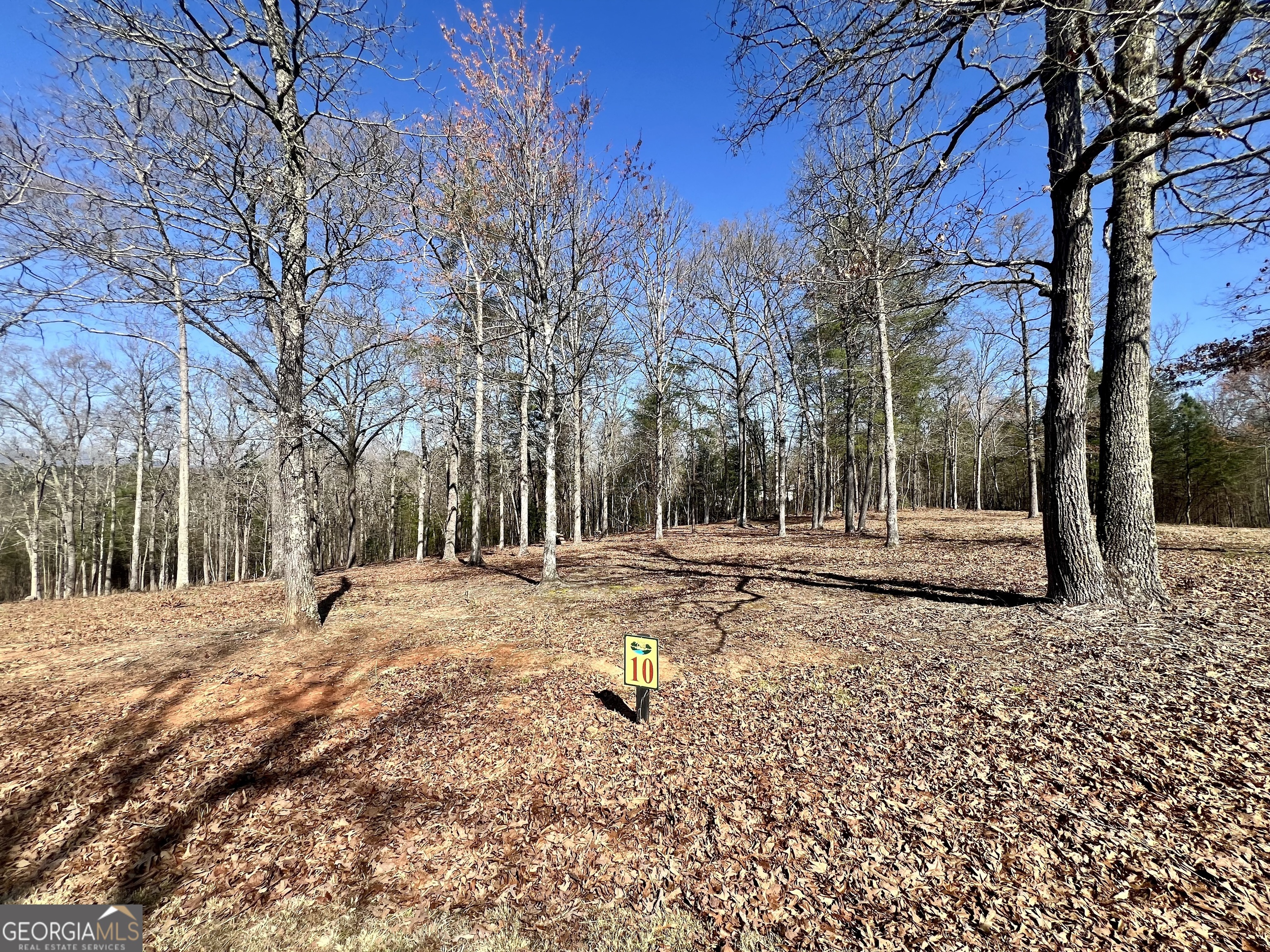 10 Arbor Creek Trail Property Photo 2