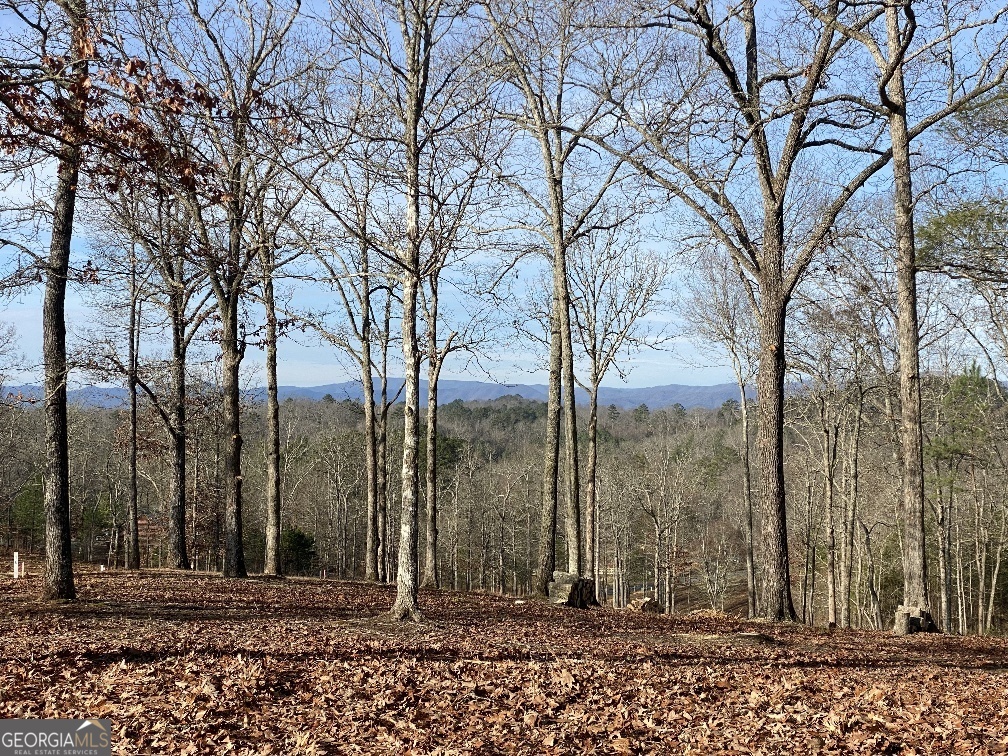 10 Arbor Creek Trail Property Photo 3