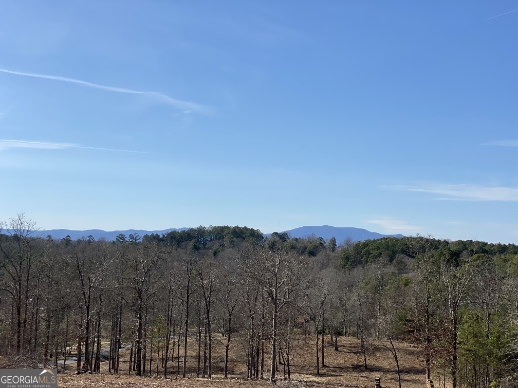 10 Arbor Creek Trail Property Photo 4