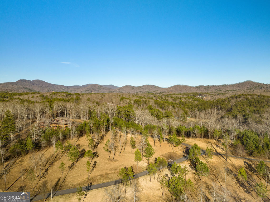 10 Arbor Creek Trail Property Photo 6