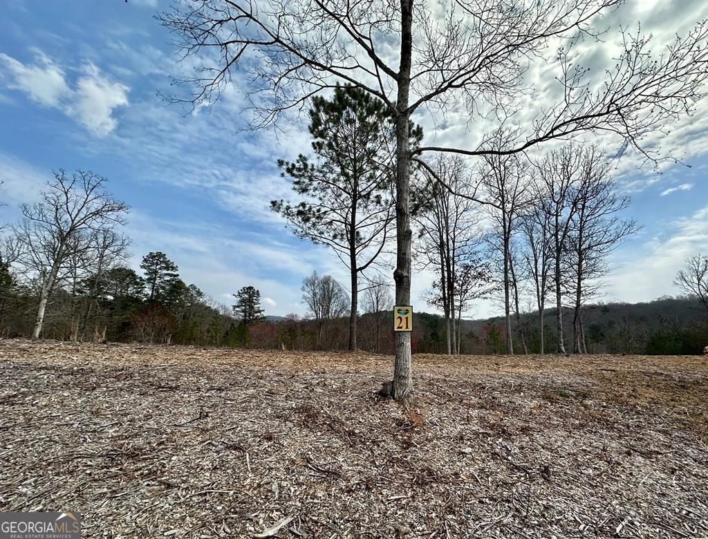 21 Arbor Creek Trail Property Photo 1