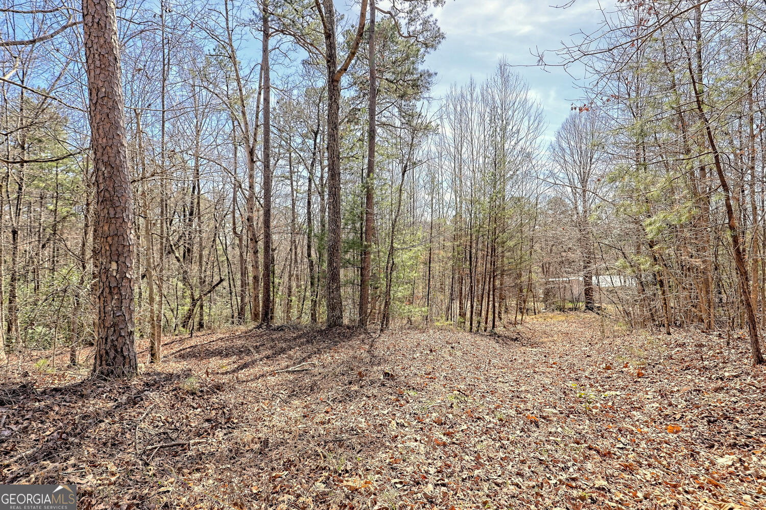 0 Highway 441 S Property Photo 33