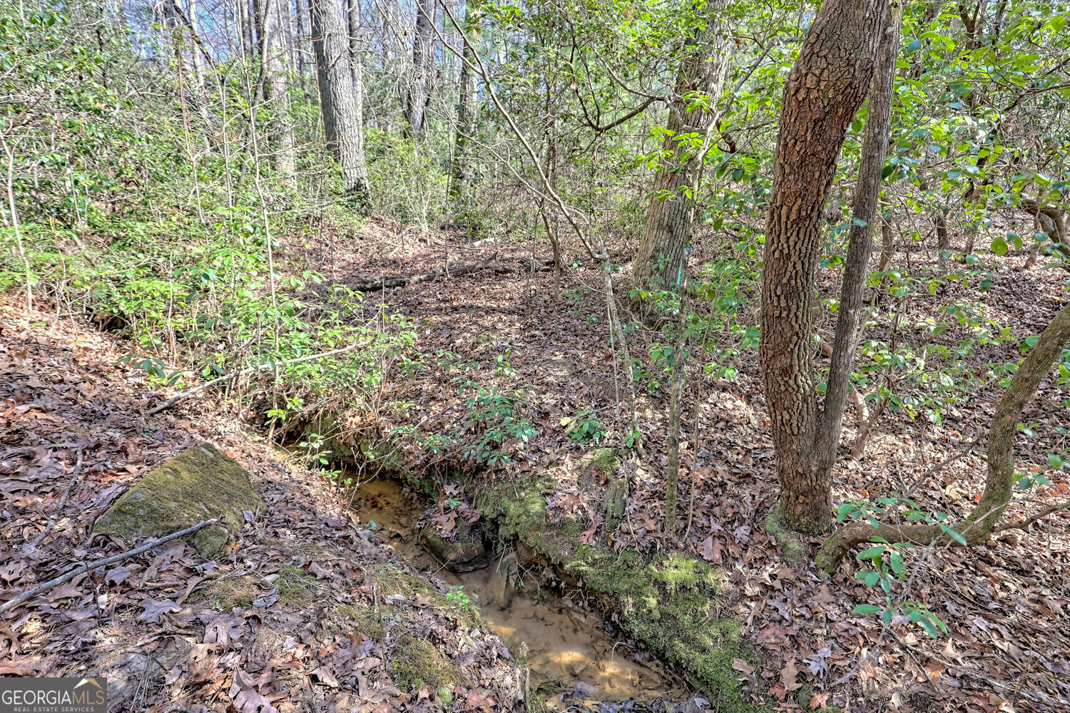 0 Highway 441 S Property Photo 34