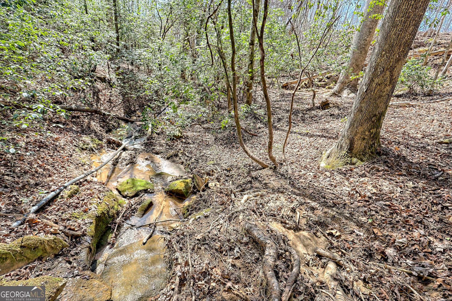 0 Highway 441 S Property Photo 36