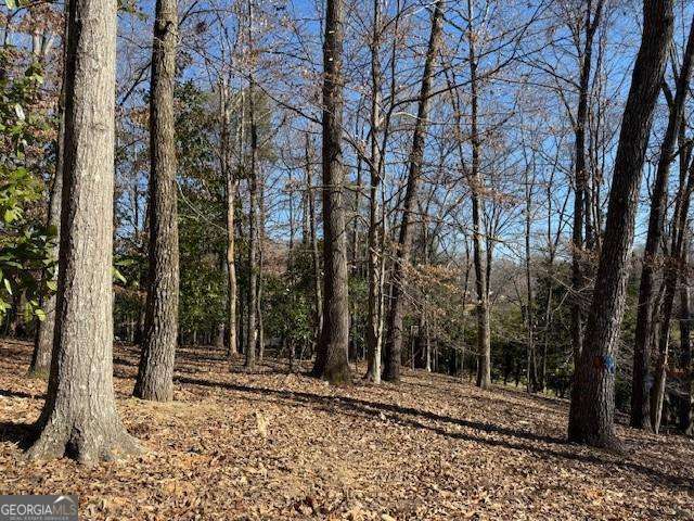 1542 Blueridge Drive Property Photo 1