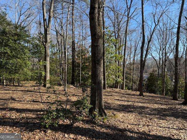 1542 Blueridge Drive Property Photo 2