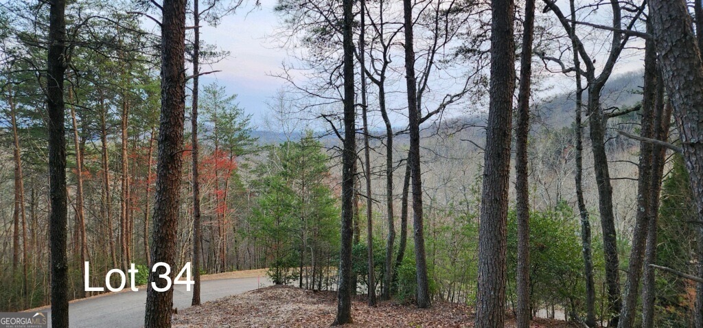 34 Wilderness Creek Way Property Photo 1