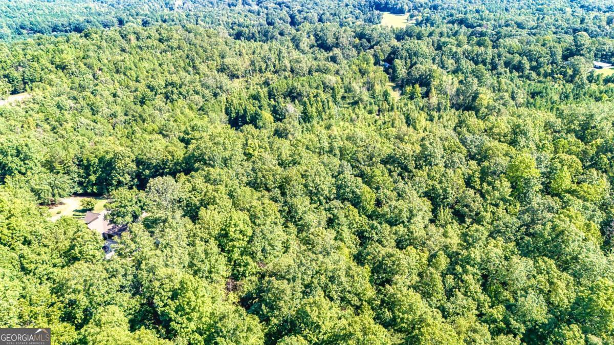 830 Mountain Veiw Road Property Photo 4