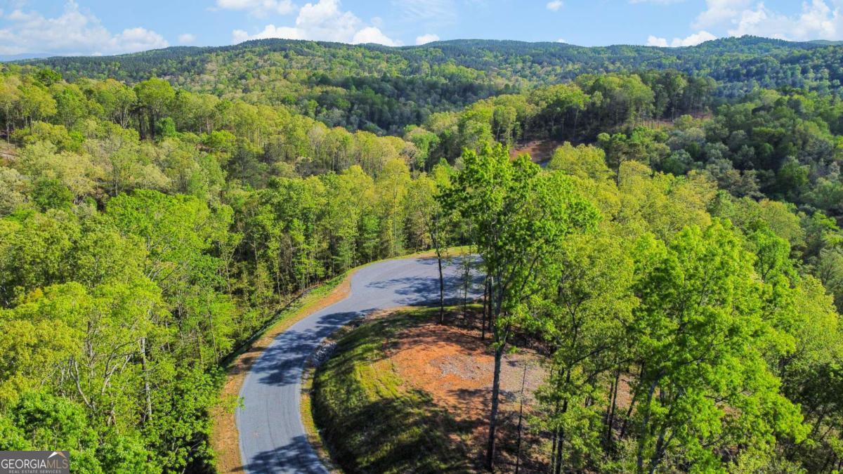 Lot 274 Canoe Way Property Photo 4