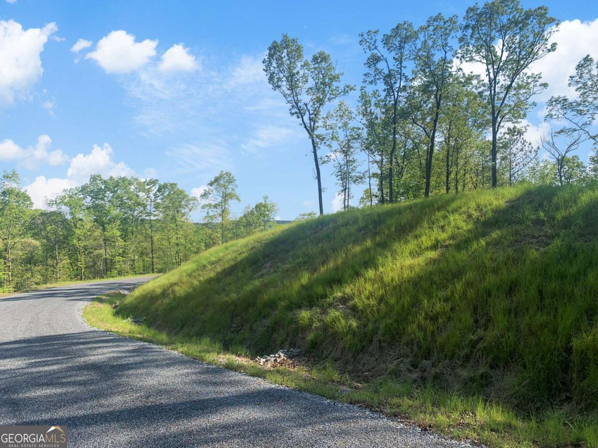 Lot 274 Canoe Way Property Photo 23