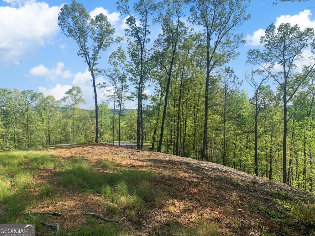 Lot 274 Canoe Way Property Photo 25