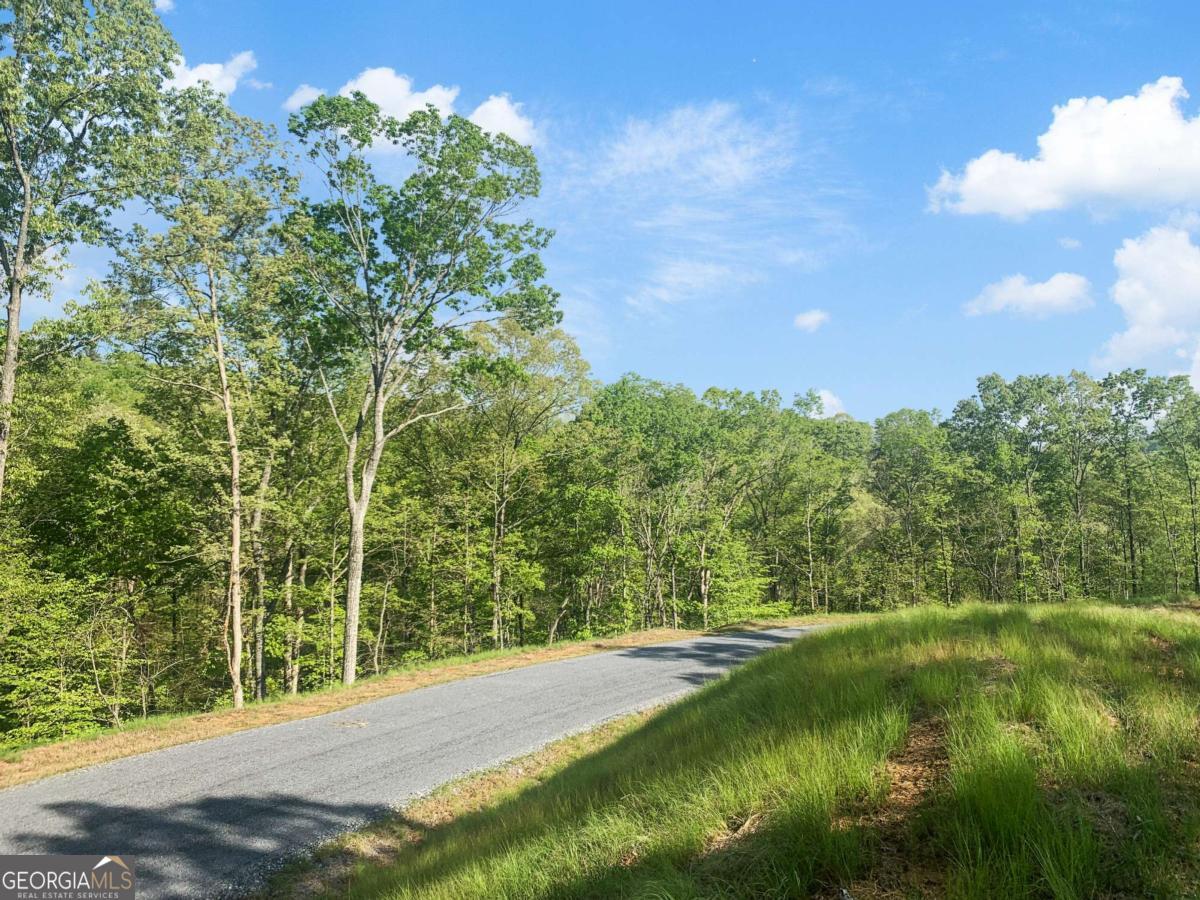 Lot 274 Canoe Way Property Photo 26