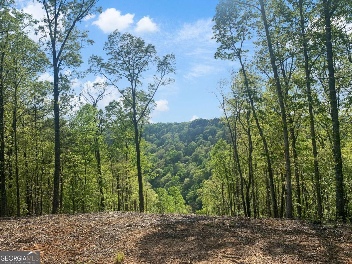 Lot 274 Canoe Way Property Photo 27