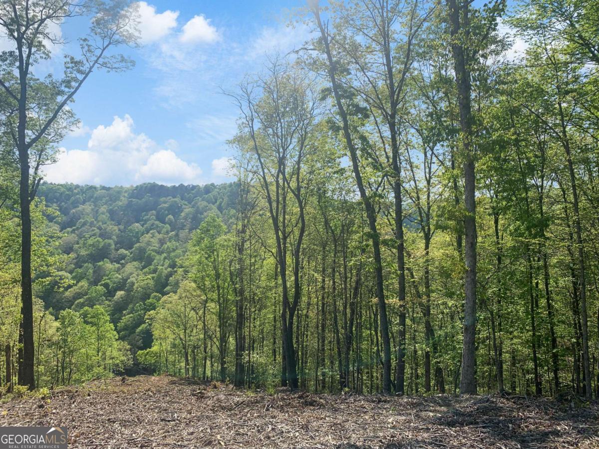 Lot 274 Canoe Way Property Photo 28