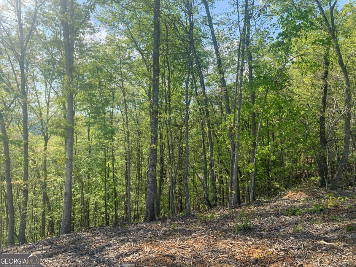 Lot 274 Canoe Way Property Photo 29