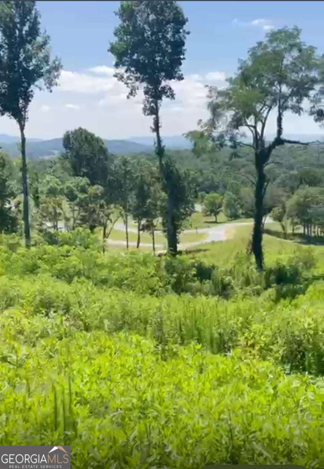 160 Big Valley Drive Property Photo 1
