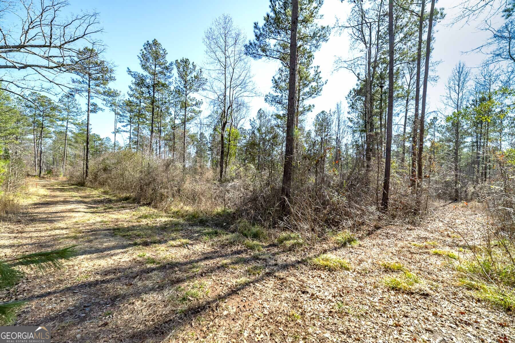 0 Dean Patrick Road Property Photo 10