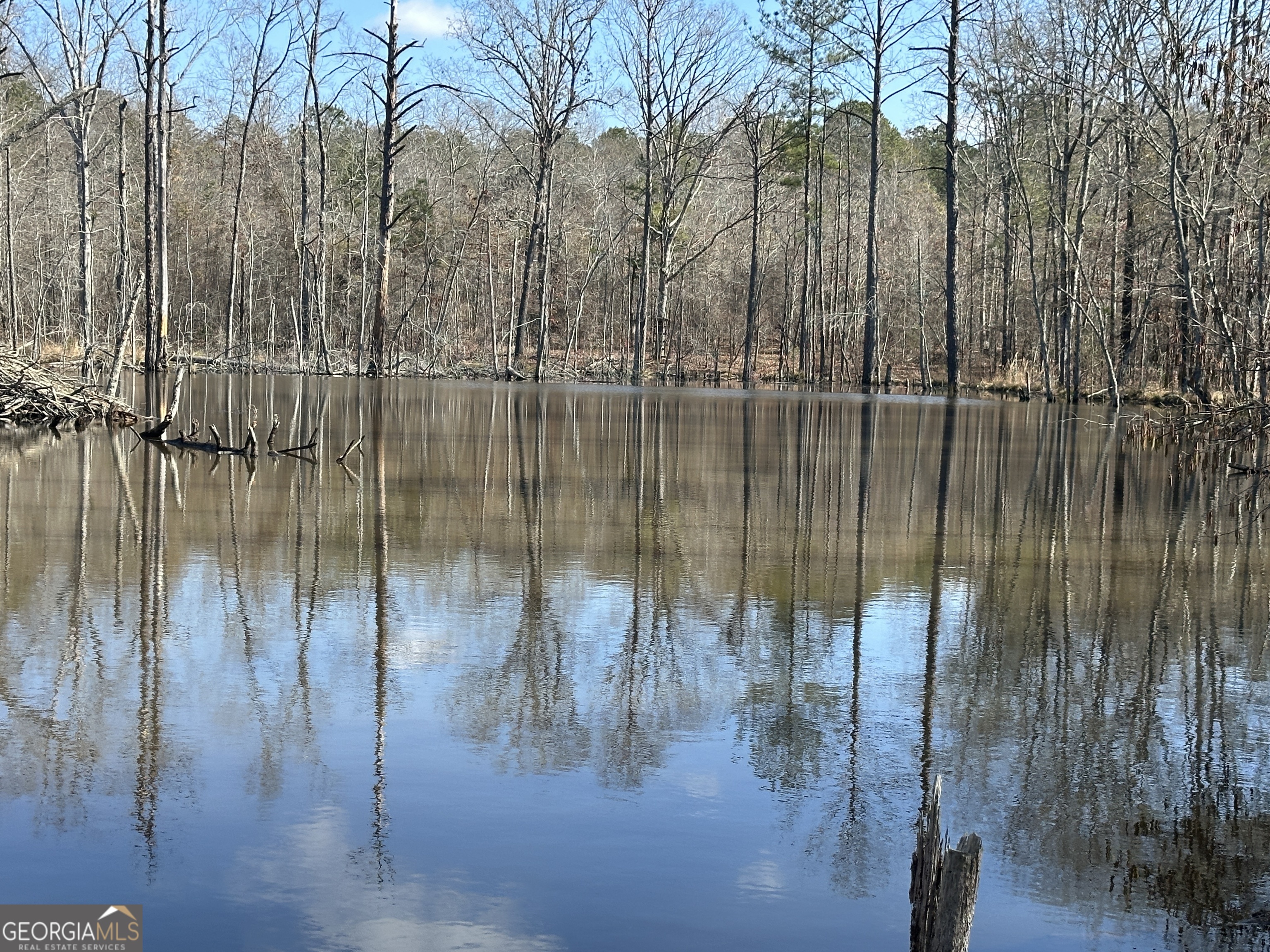 Lot 2- 16.75 Ac Branch Hebron Road Property Photo
