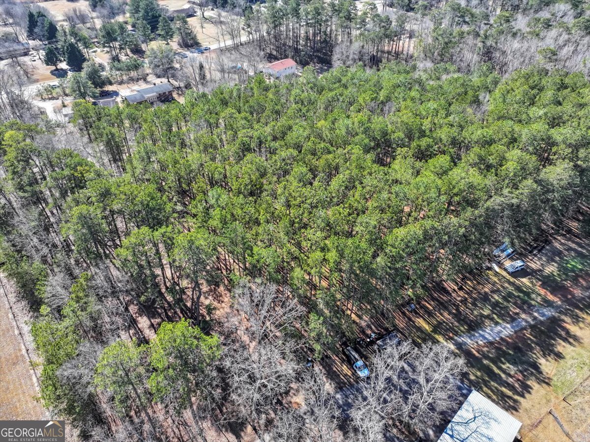 1891 Highway 81 Property Photo 19
