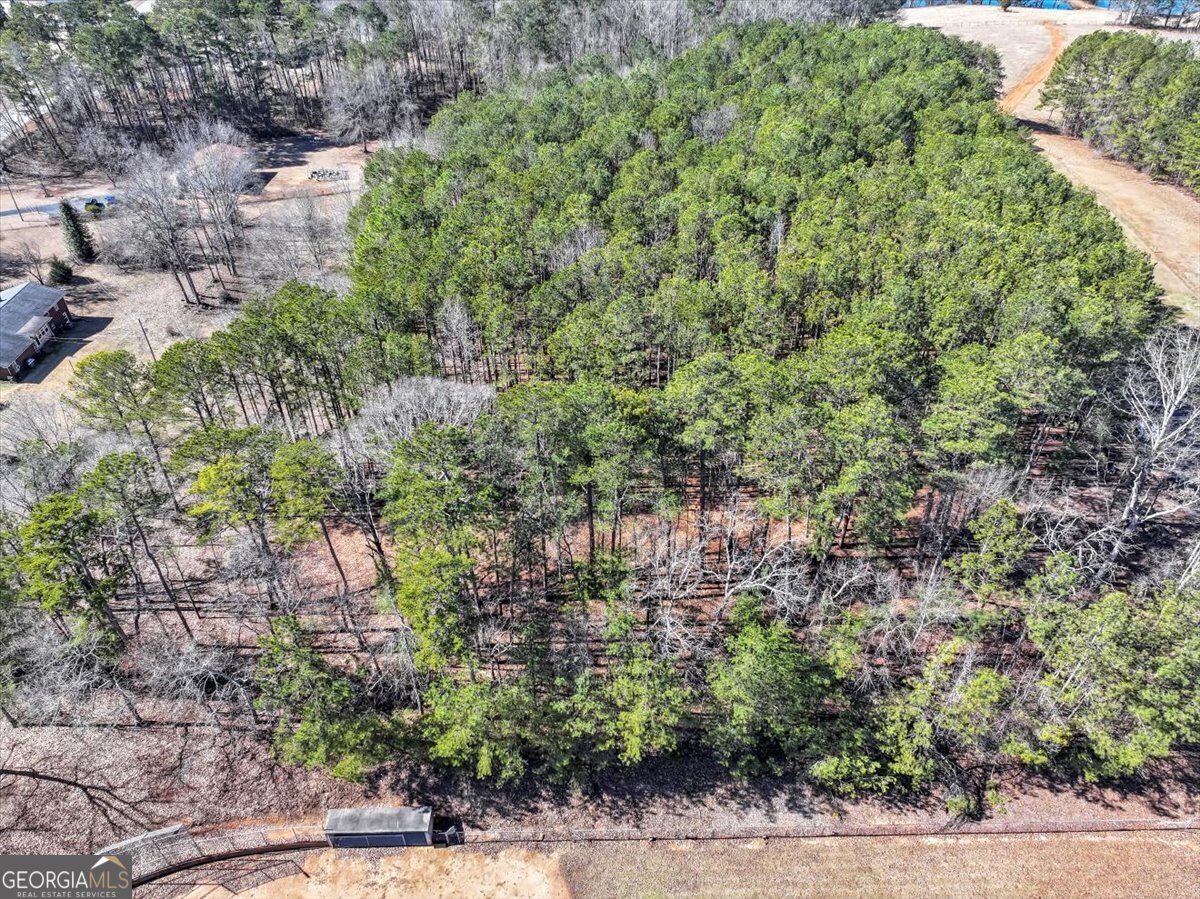 1891 Highway 81 Property Photo 20