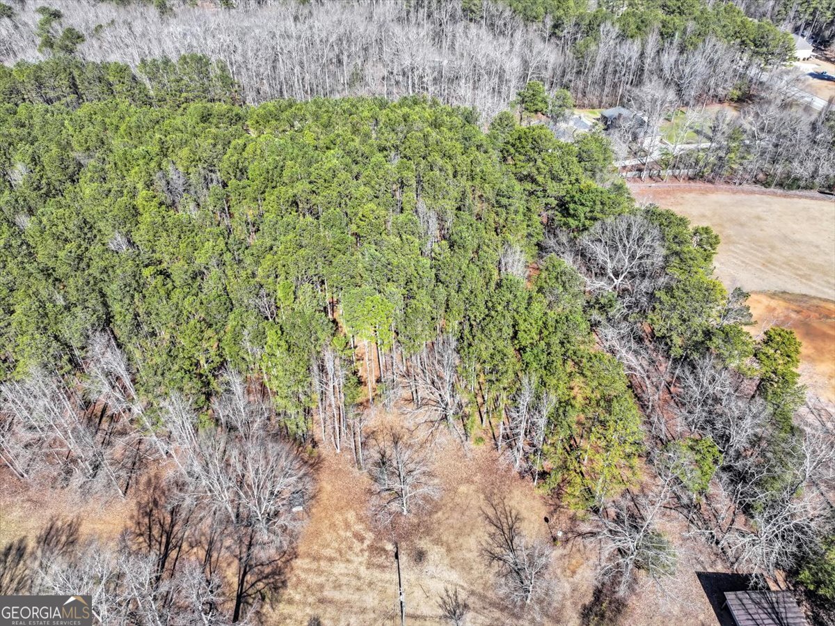 1891 Highway 81 Property Photo 22