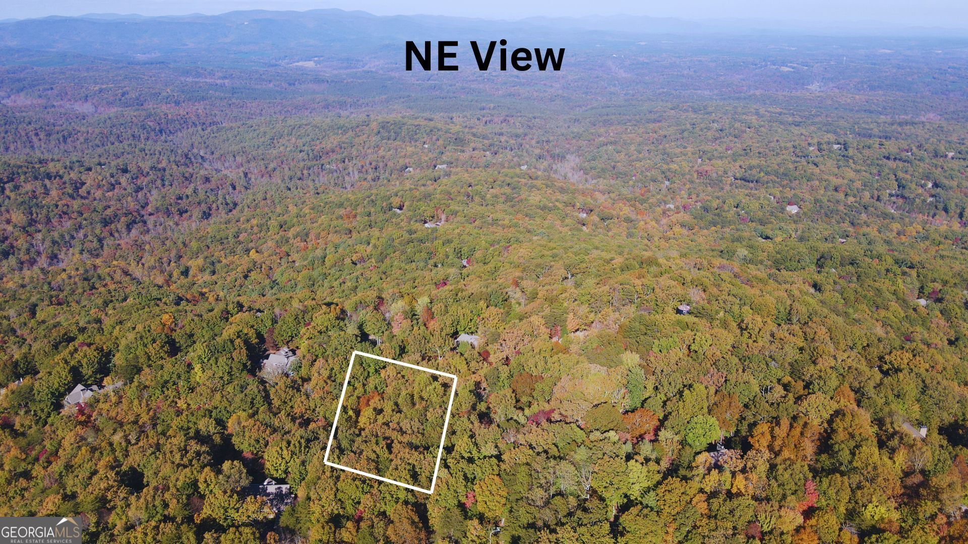 68 Wood Fern Knoll Property Photo 2