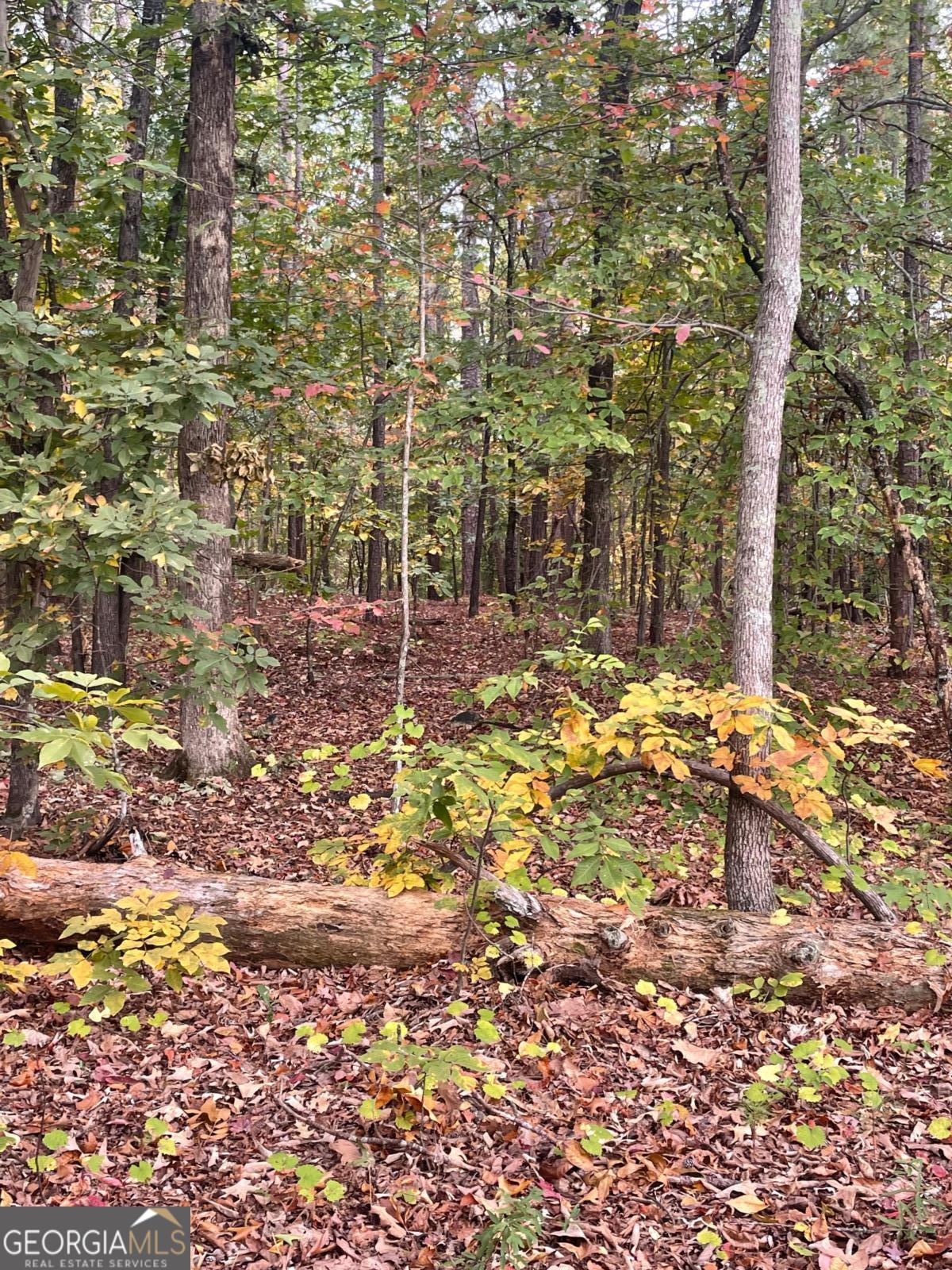 41 Foxfire Lane Property Photo 2