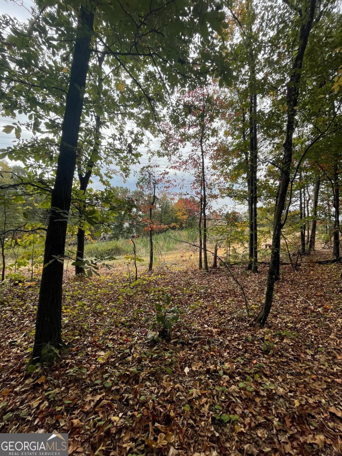41 Foxfire Lane Property Photo 3