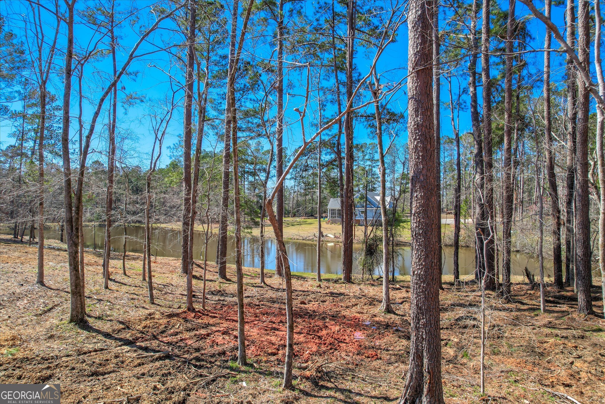 385 Canterbury Drive