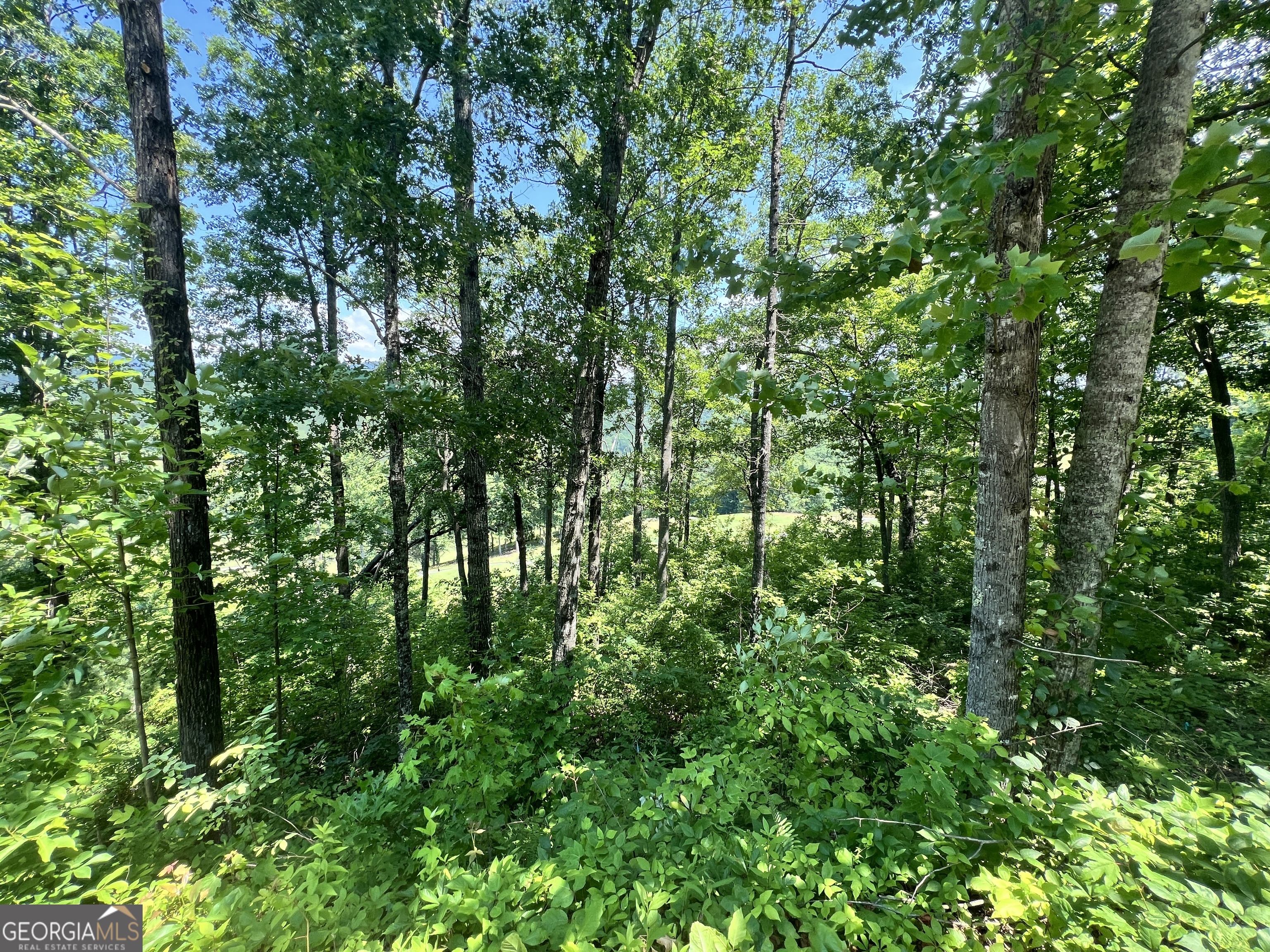 J35 Bent Grass Property Photo 10