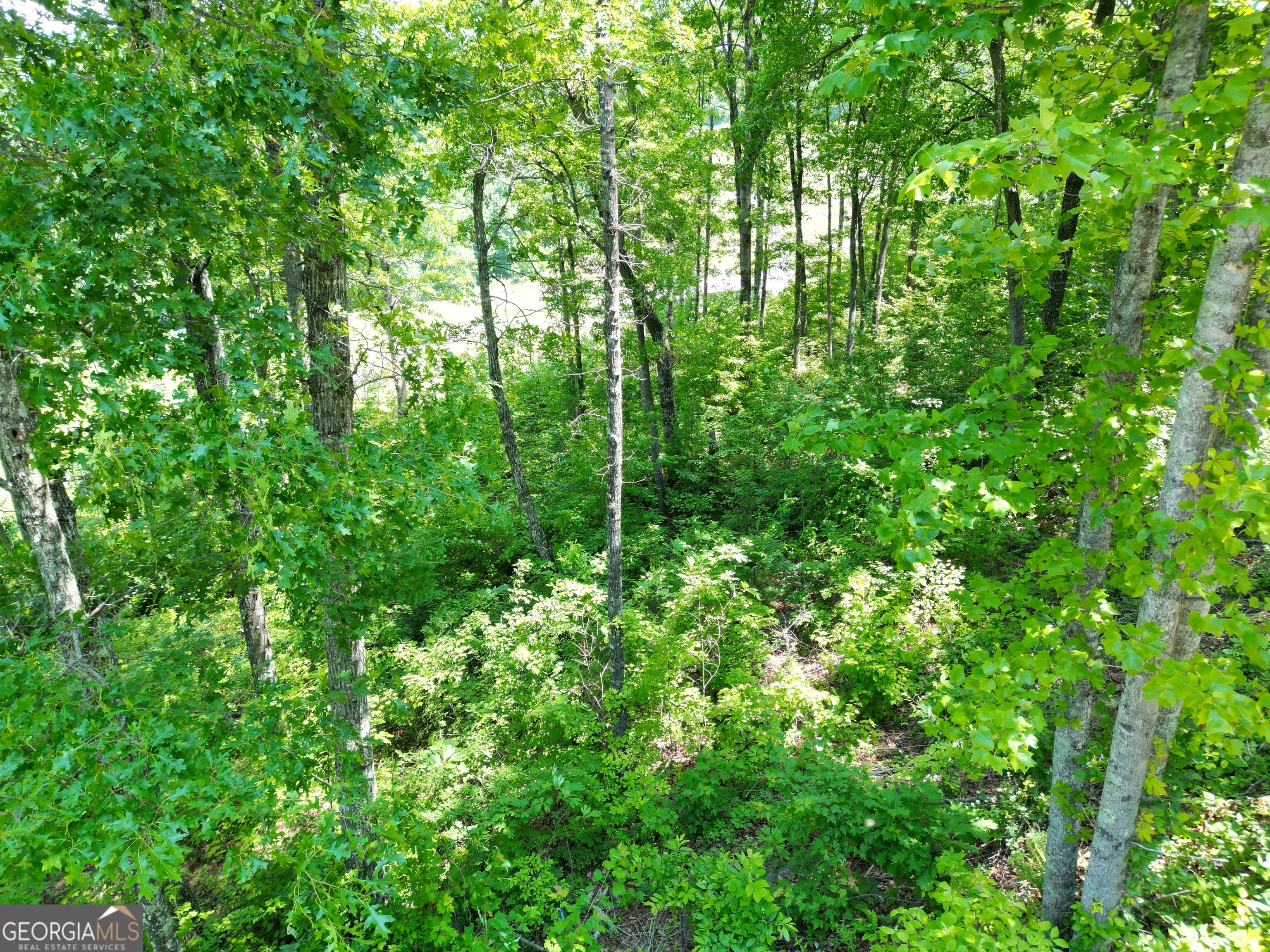 J35 Bent Grass Property Photo 11