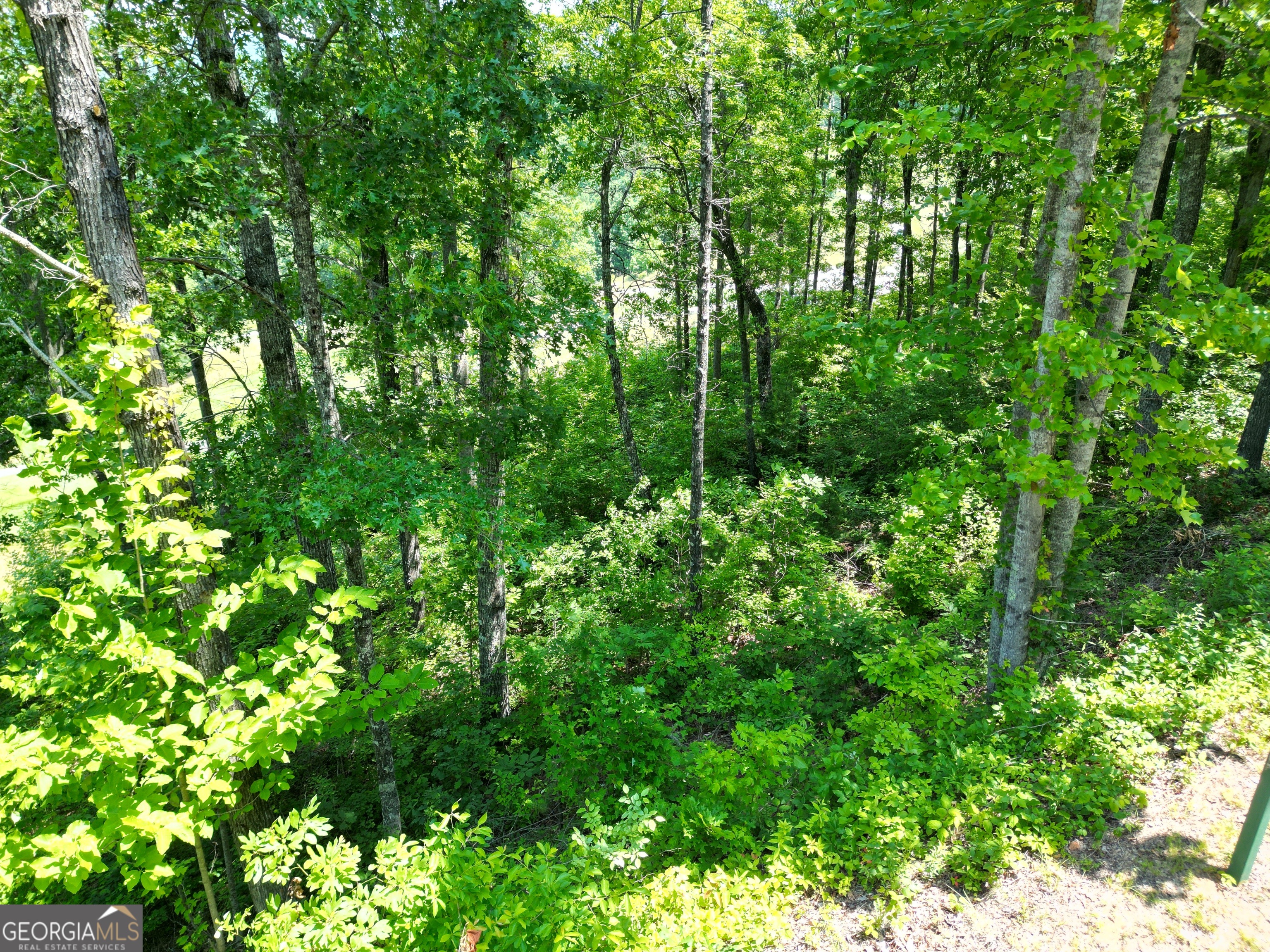 J35 Bent Grass Property Photo 12