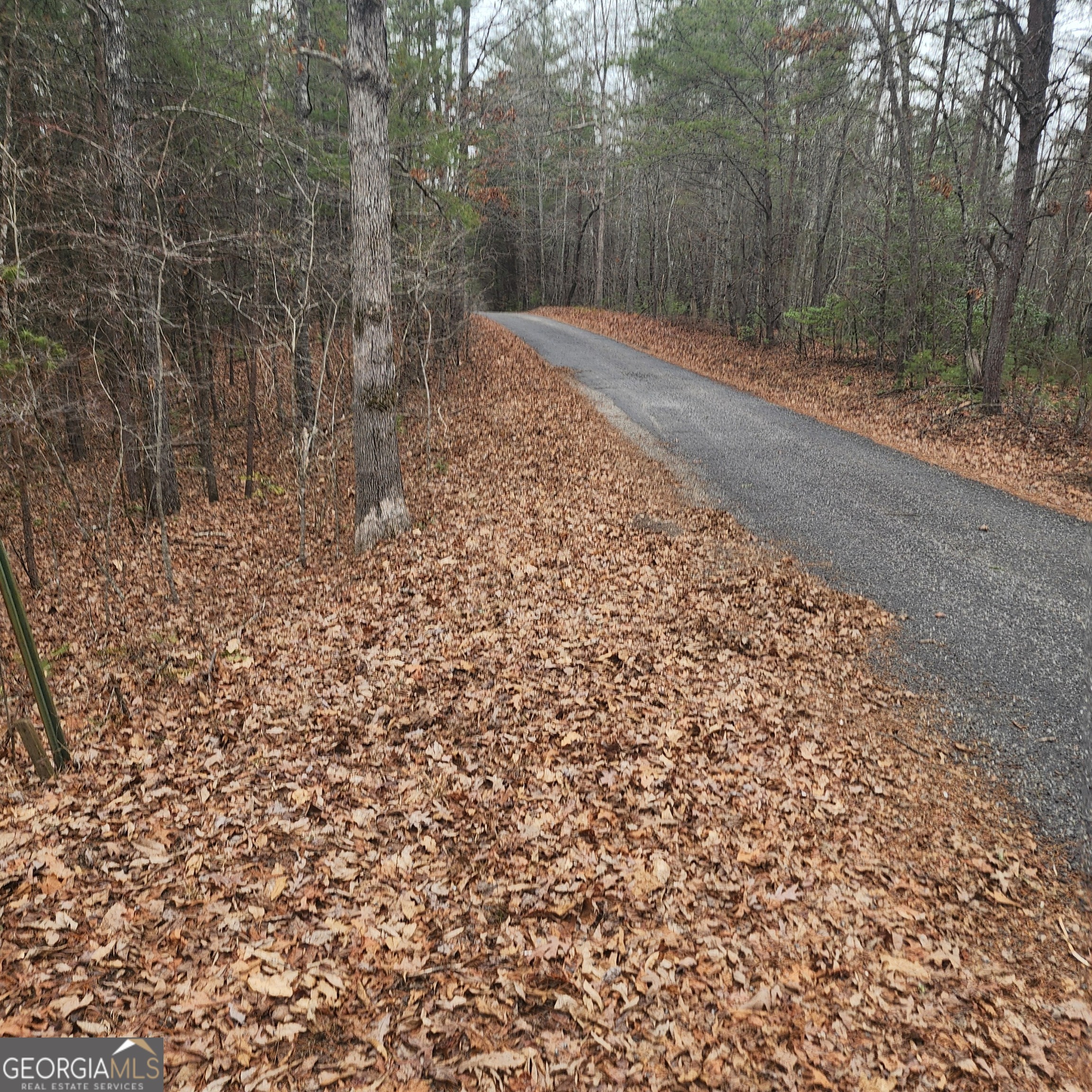 Tract 3 Julie Hollow Road Property Photo