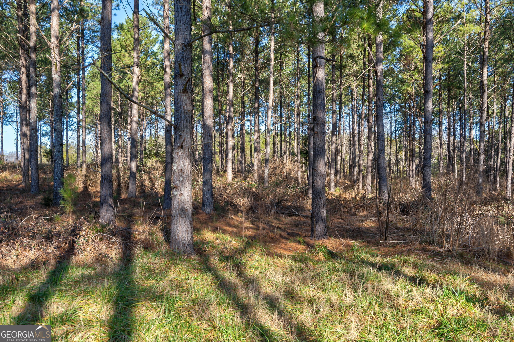 0 Hwy 77 Property Photo