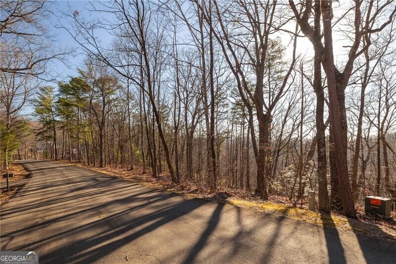 0 Outback Ridge Trail Property Photo 10