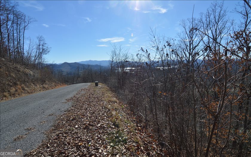 Lot 60m Mountain Harbour Property Photo 5