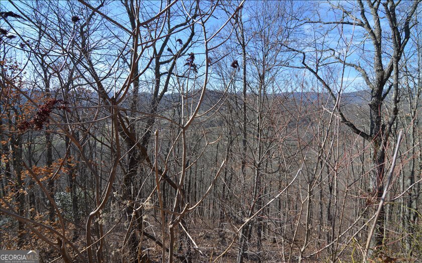 Lot 60m Mountain Harbour Property Photo 8