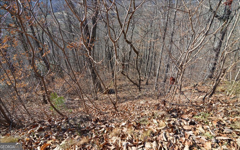 Lot 60m Mountain Harbour Property Photo 10