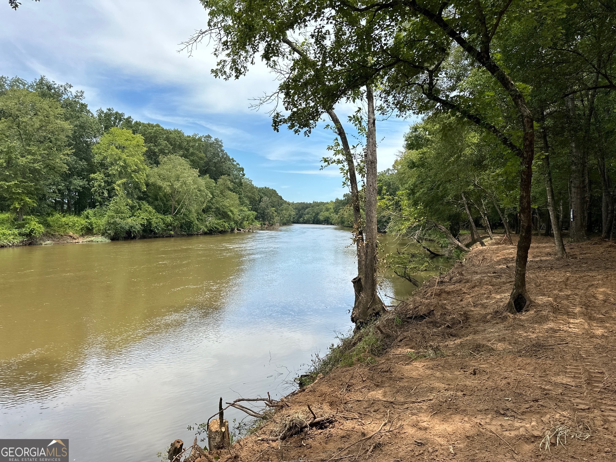 6 Ac Flint River Road Property Photo