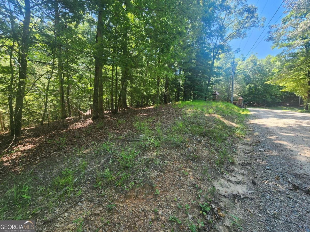 Lot 3 Meadow View Drive # 3 Property Photo 1