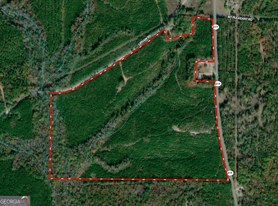 96.4 Ac Hwy 219 & Lipham Road Property Photo